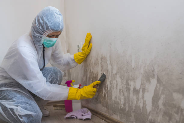 Water Damage Restoration in Earlington, KY