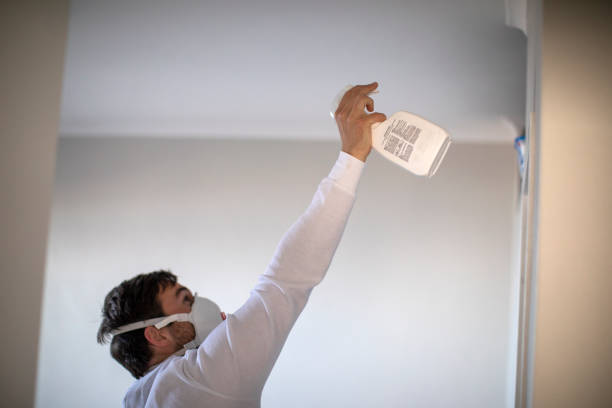Best Emergency Mold Removal  in Earlington, KY