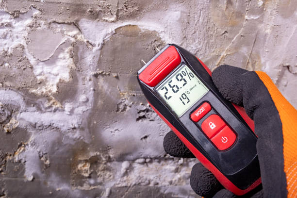 Best Mold Testing  in Earlington, KY