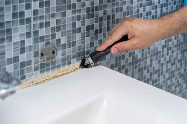 Best Fast Mold Removal  in Earlington, KY