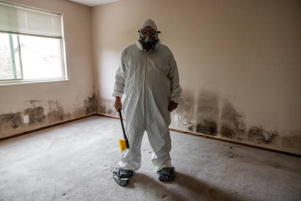Best Commercial Mold Removal  in Earlington, KY